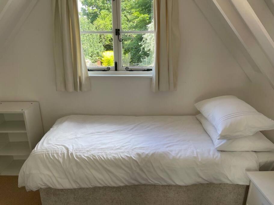 Acacia Cottage 할스테드 외부 사진